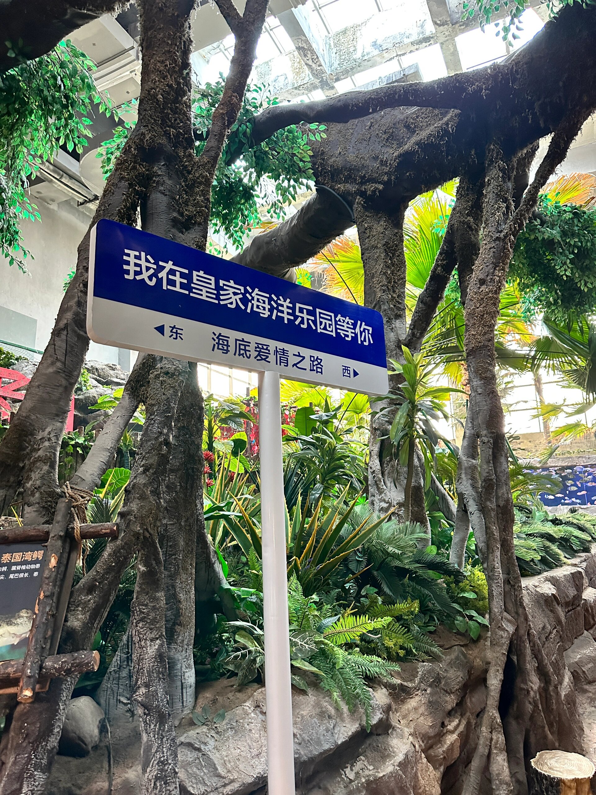 《皇家海洋乐园:畅玩海洋世界的奇妙之旅》