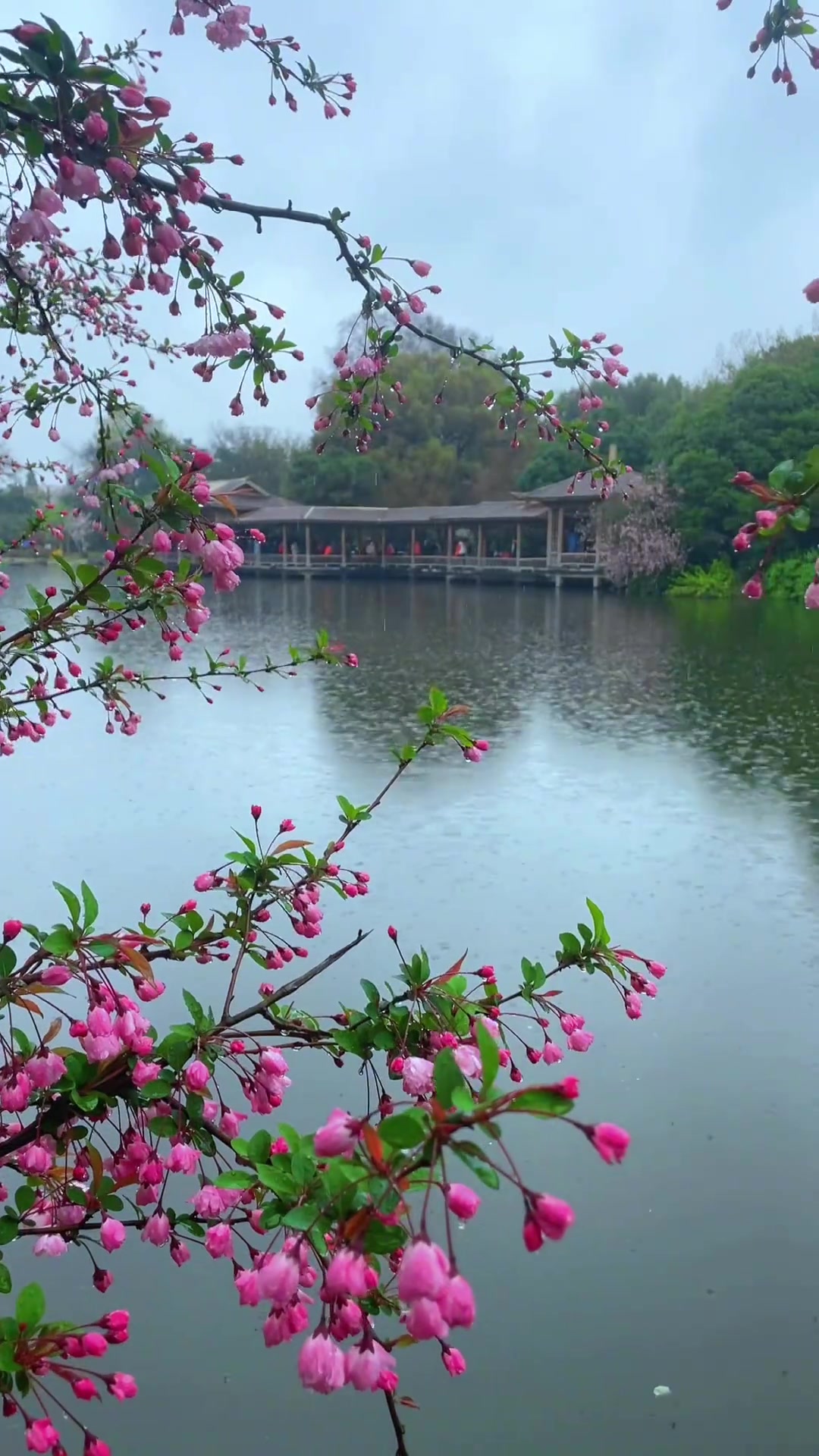 在乎的是沿途的风景