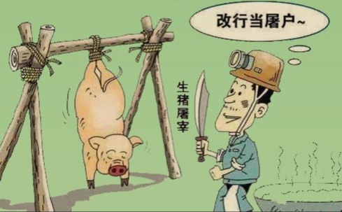 农村生猪屠宰场面临困境与改革建议