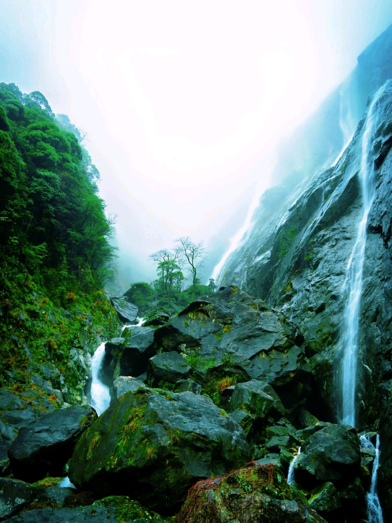 大鄣山卧龙谷旅游区图片