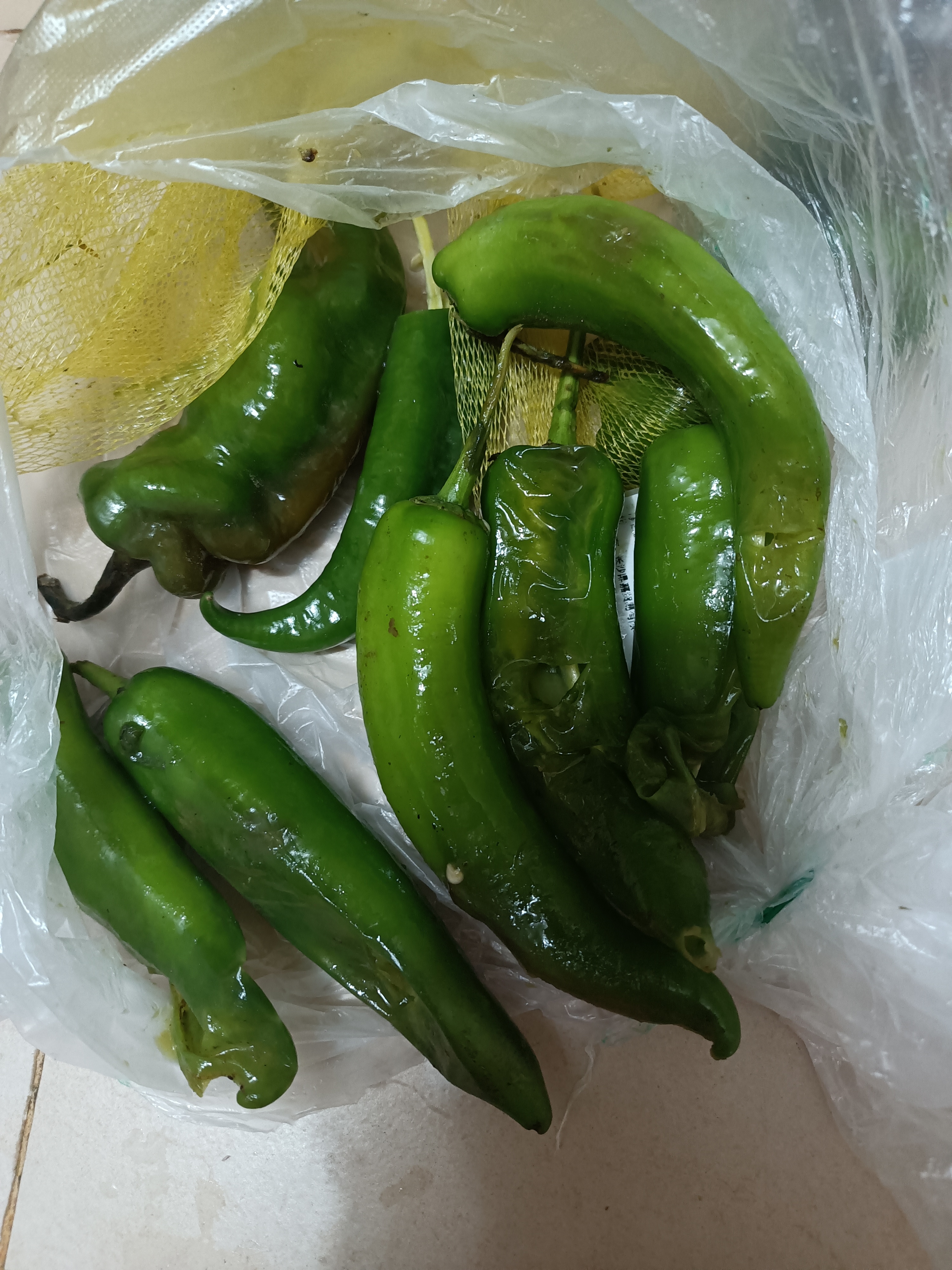 那天网上买的青辣椒一只也没吃全烂的,中午洗菜才知道