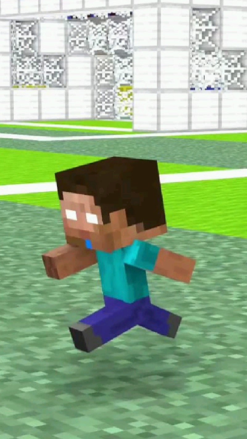 史蒂夫足球比赛