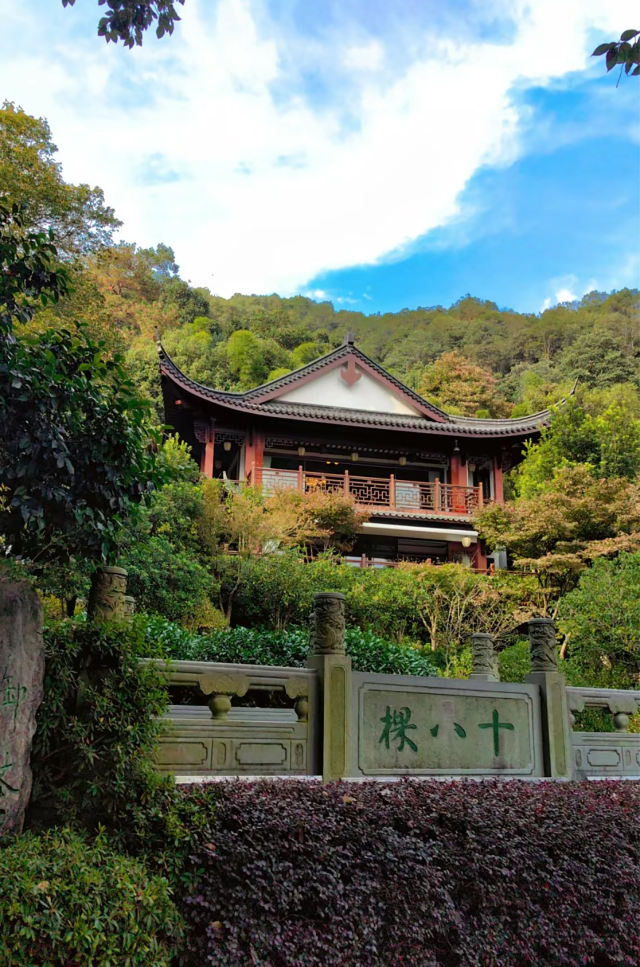 龙井茶名之源起喝茶何须懂懂茶涨知识增智慧不踩坑