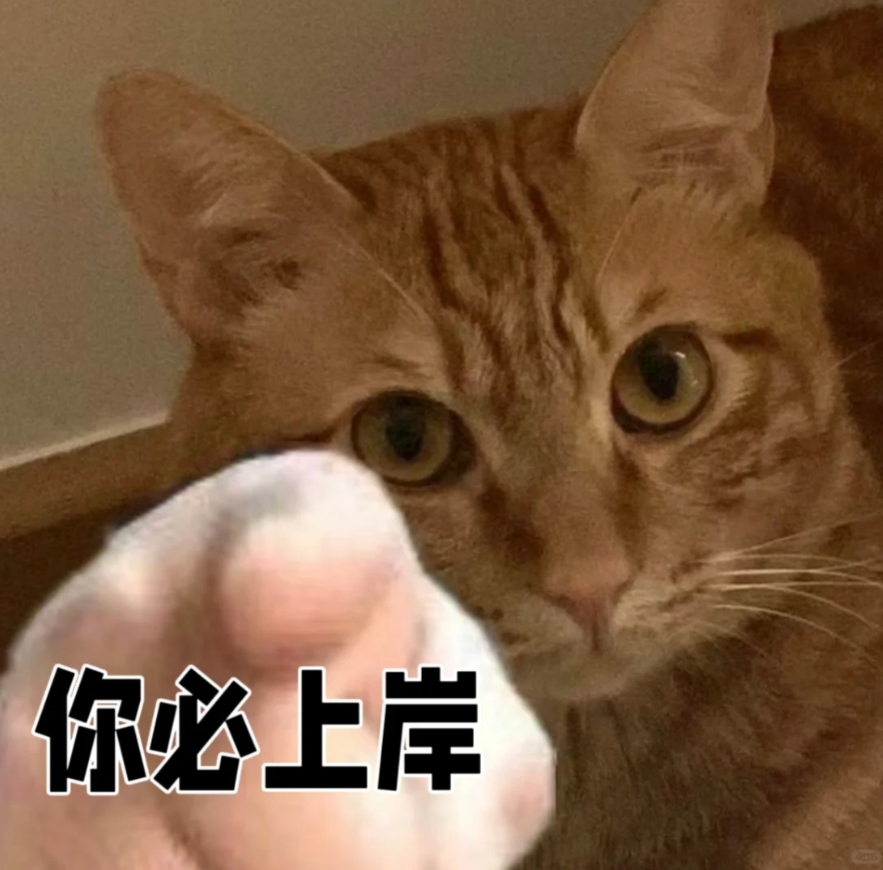 快查又有8校公布了考研复试分数线