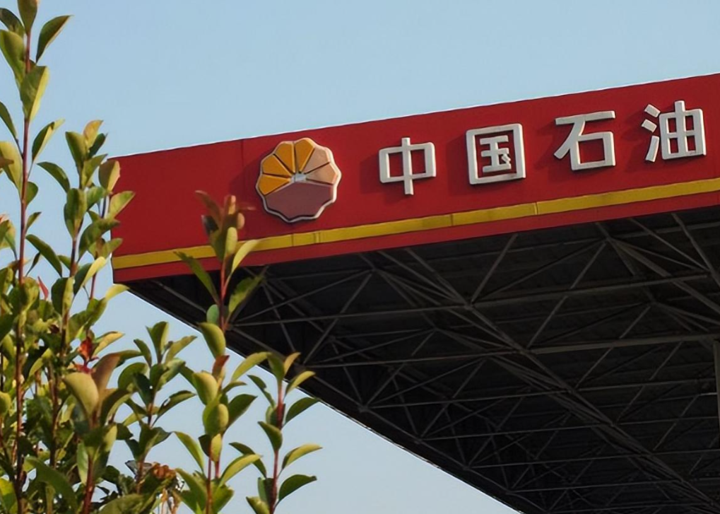 纪实:看到这种"中石化"建议绕道行驶,不要加满油才发现问题