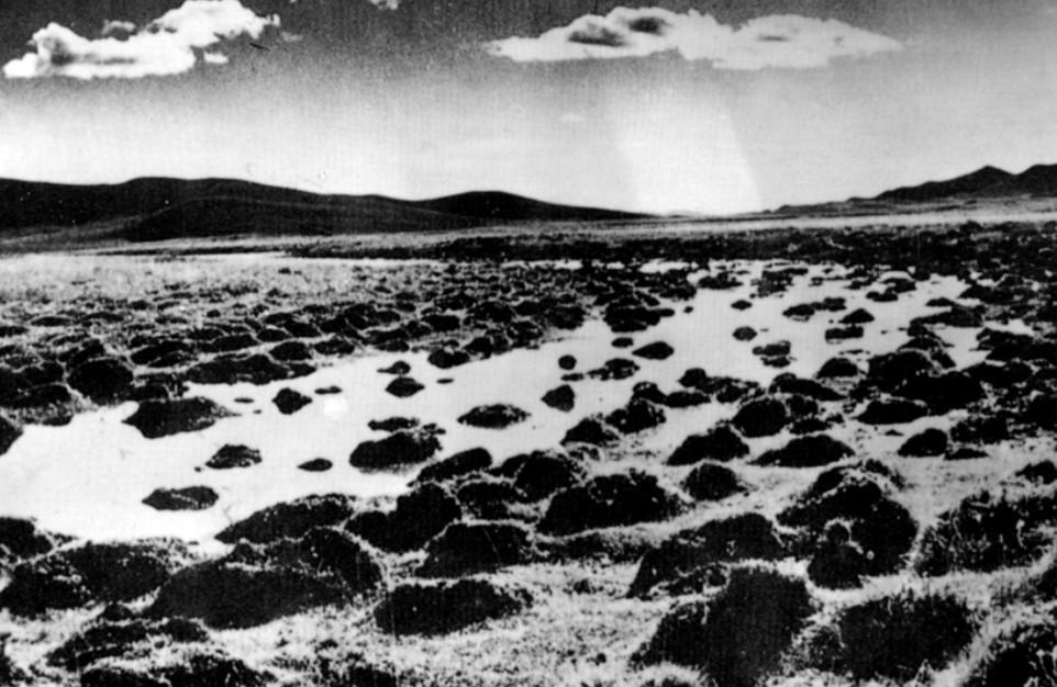 红军长征怎么过沼泽地的?一位女兵想出奇妙办法,轻而易举通过