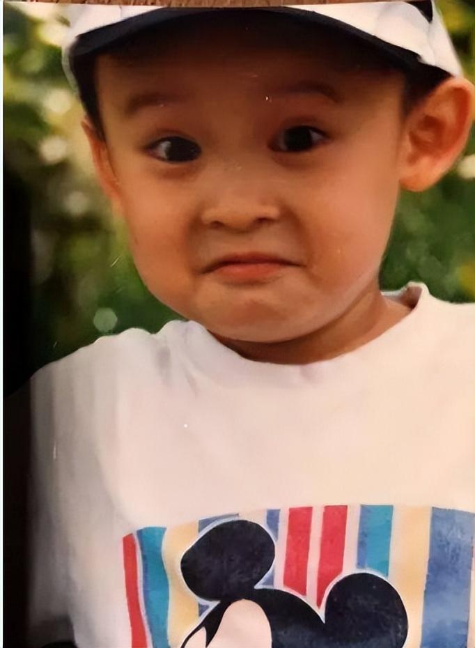 回顾王京花握京圈半壁江山成功路上有泪有痛儿子婚姻她操心