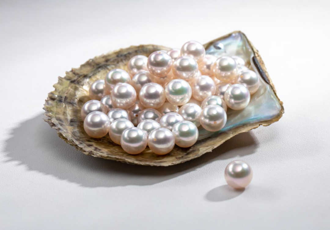 南珠宫珍珠科普丨手把手教你,5分钟分清市场上主流的珍珠