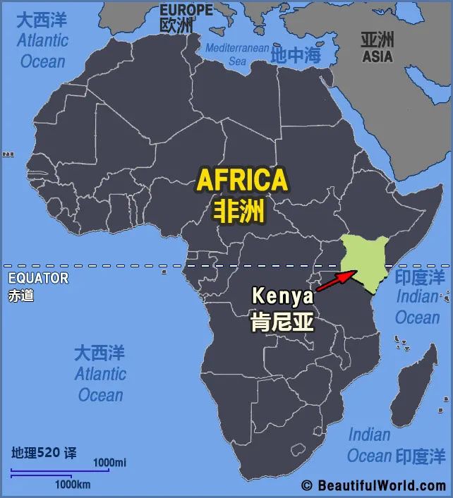 非洲男子自称马斯克私生子