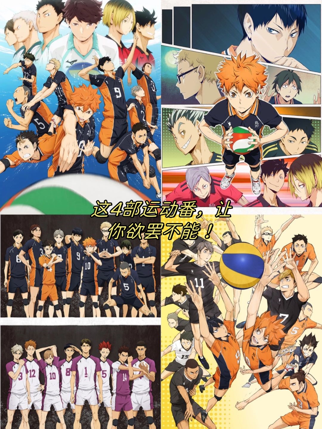 排球少年:热血青春,挥洒汗水的瞬间,仿佛就在眼前!