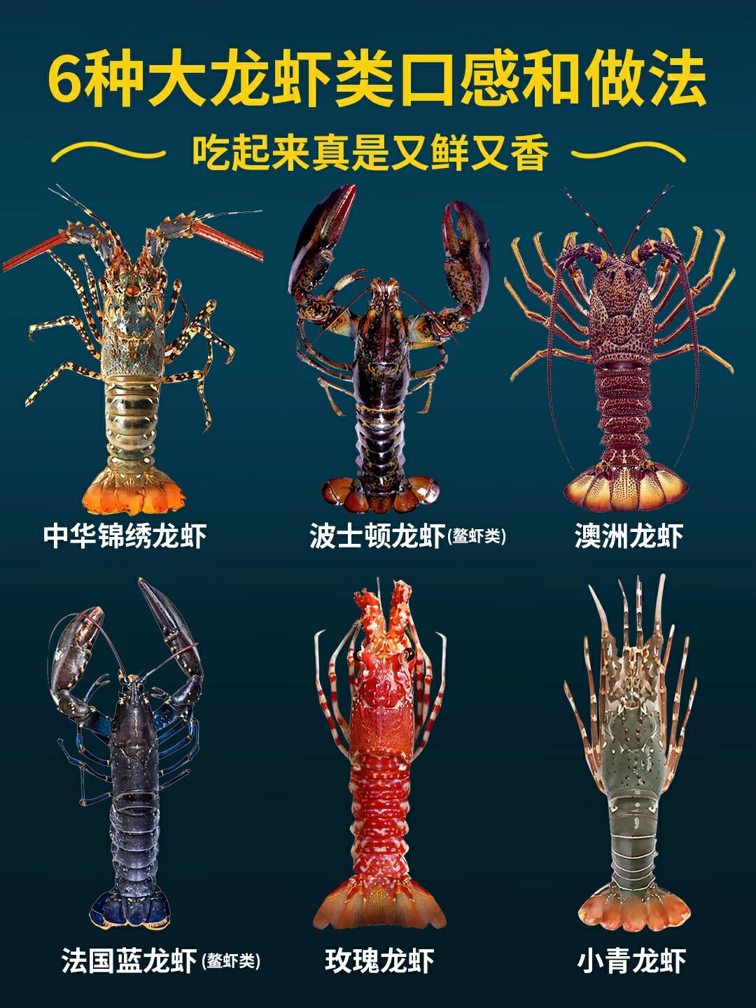 今天,就让我来带大家领略一下六种不同龙虾的口感和独特做法吧!