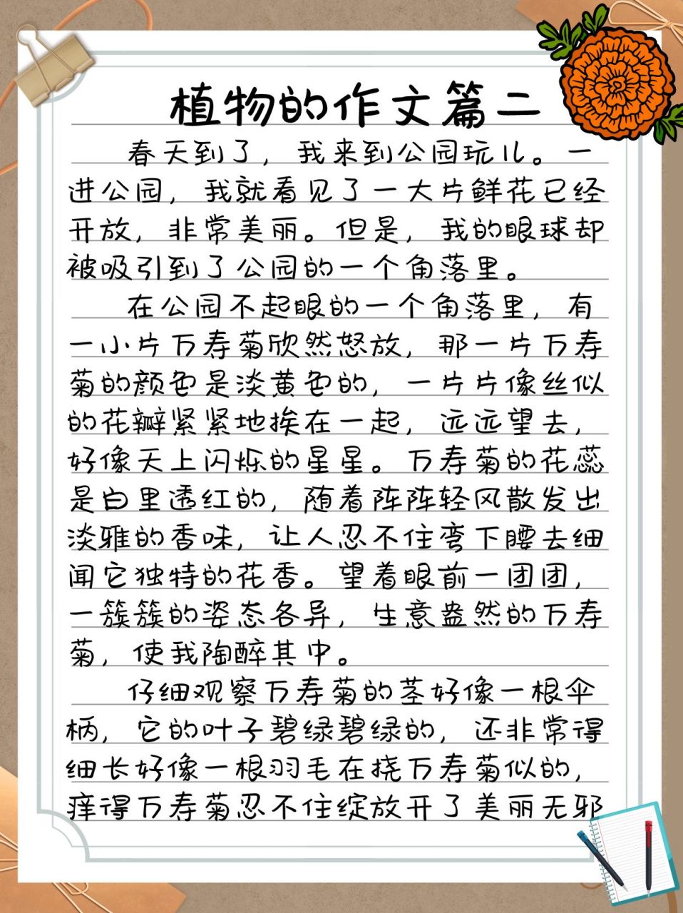 观察一种植物的作文400字三年级(关于观察一种植物的作文300字三年级)