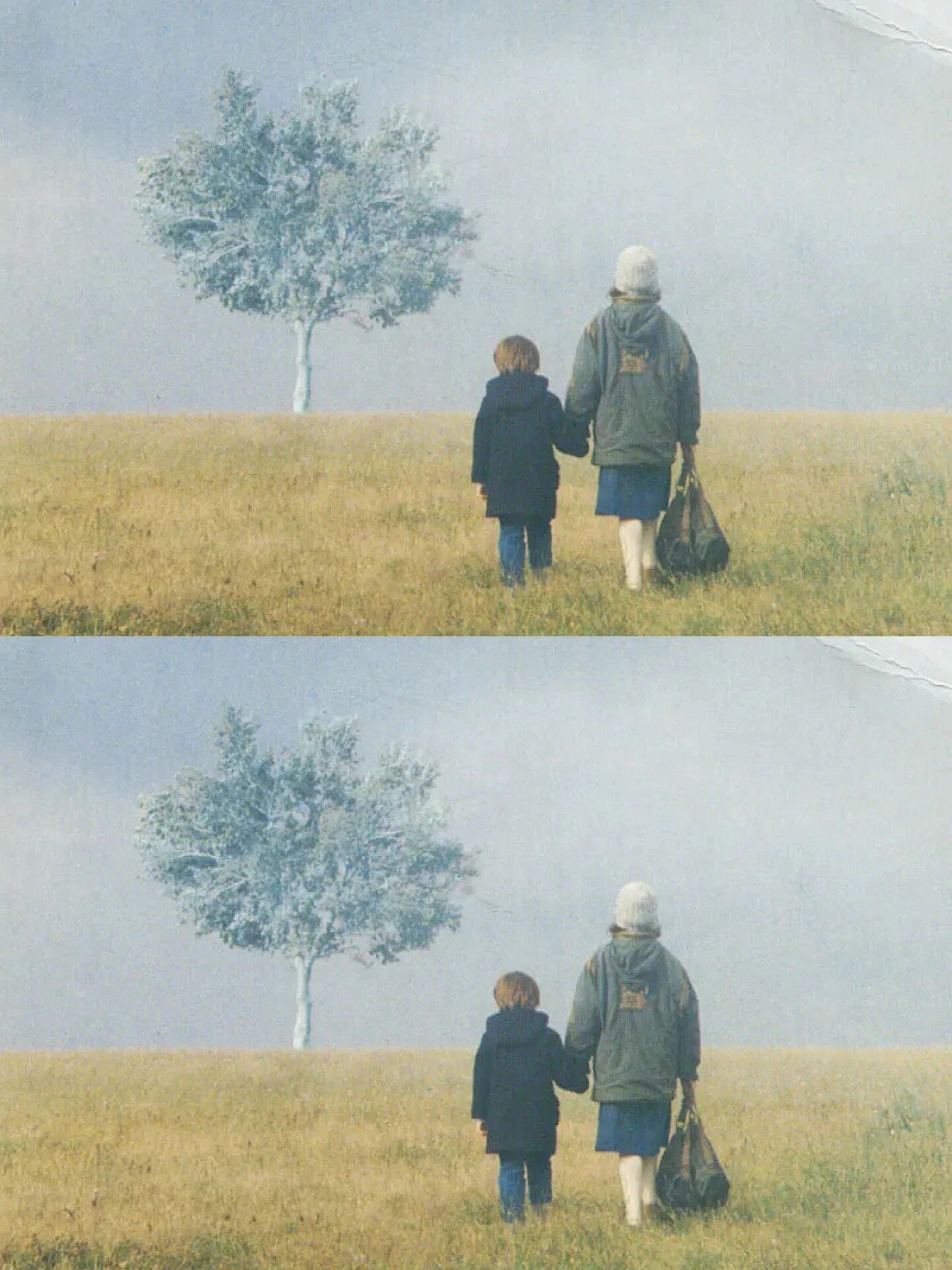 我要吹爆《雾中风景》这部电影!