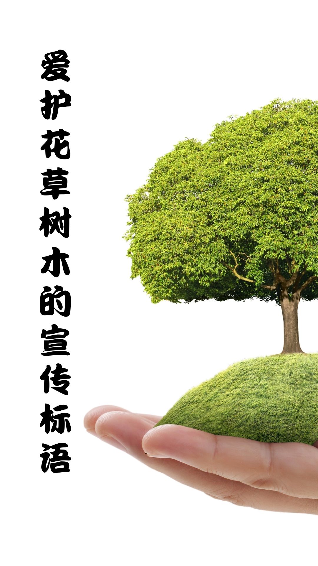 爱护花草树木的宣传标语  爱护花草,人人有责  守护绿色,珍爱树木