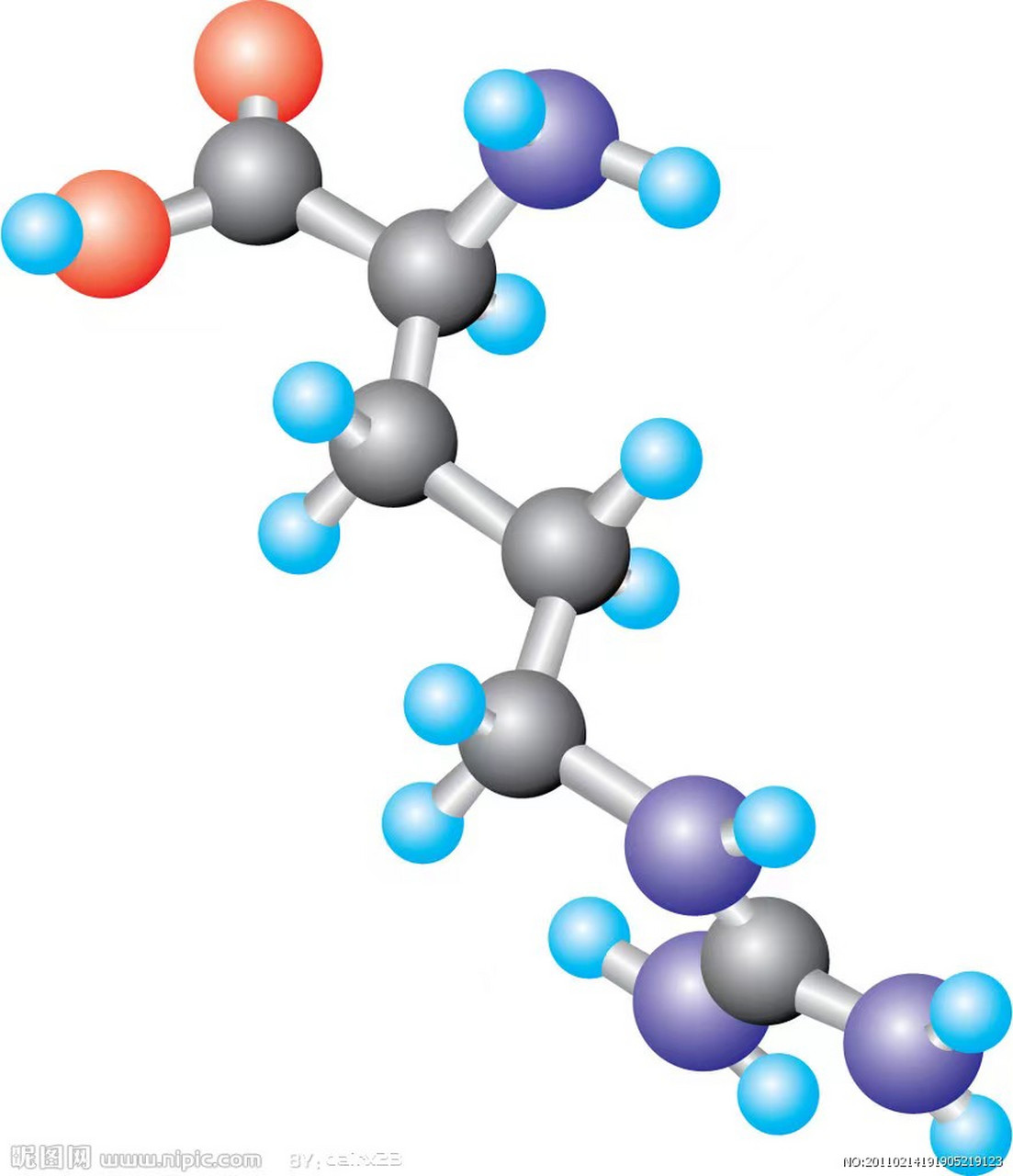 氨基酸空间结构图图片