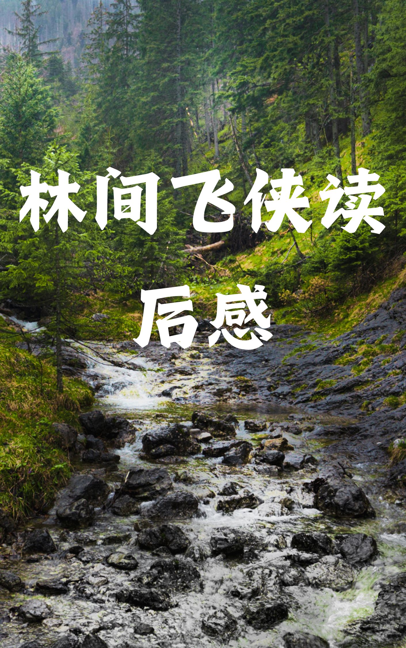 主角一开始穿越到森林