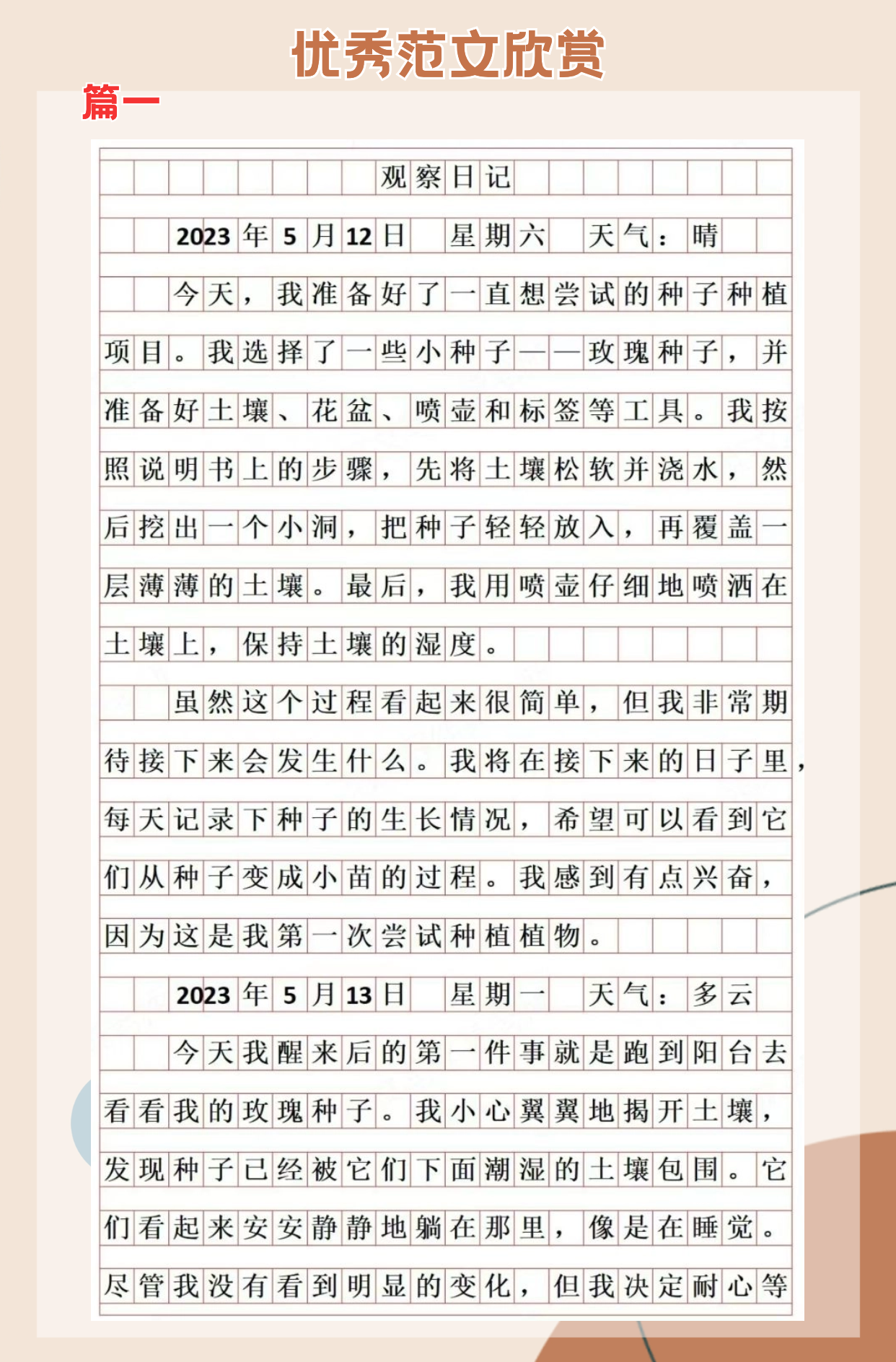 观察日记观察植物的,200字到300字,三年级的简单介绍