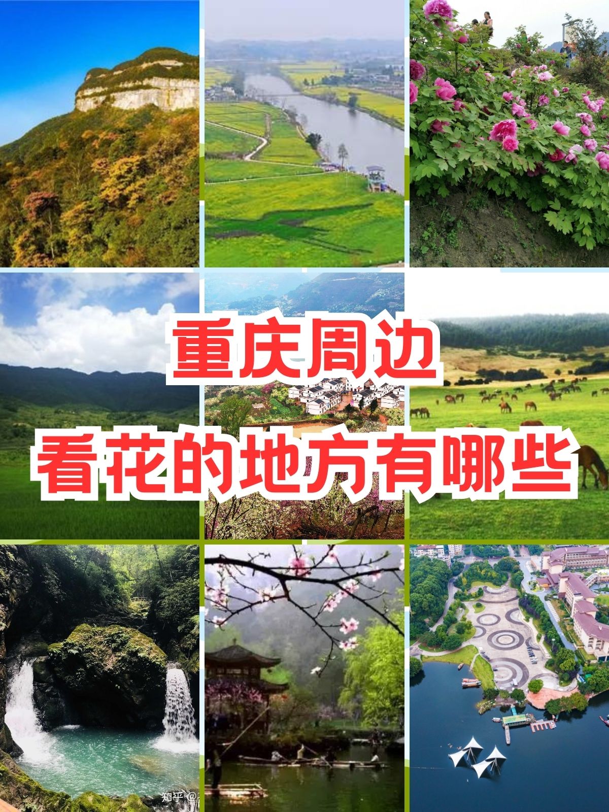 重庆周边看花的地方有哪些 "重庆周边看花圣地大盘点!