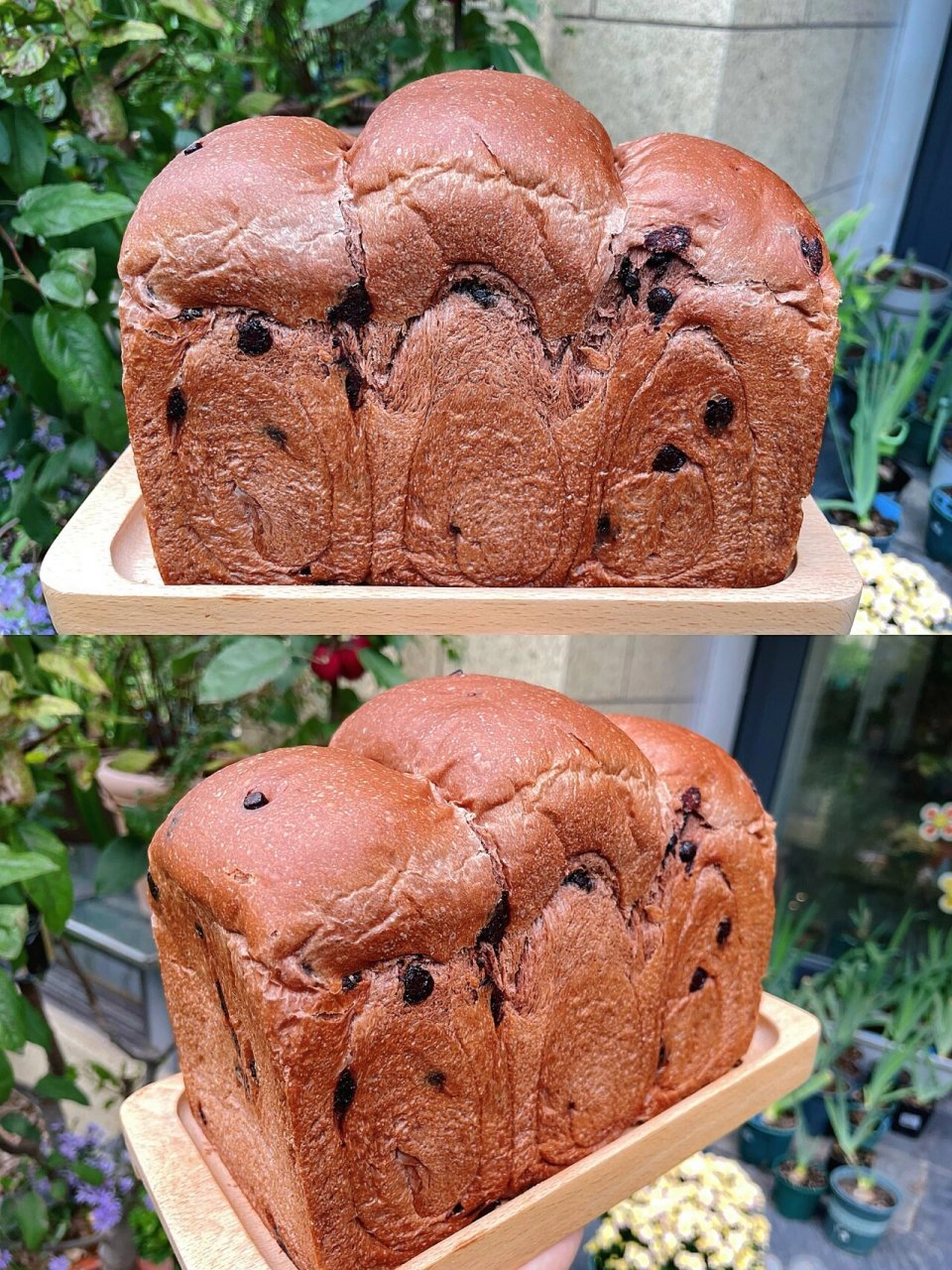 92超浓郁巧克力可可吐司,好吃到转圈圈!