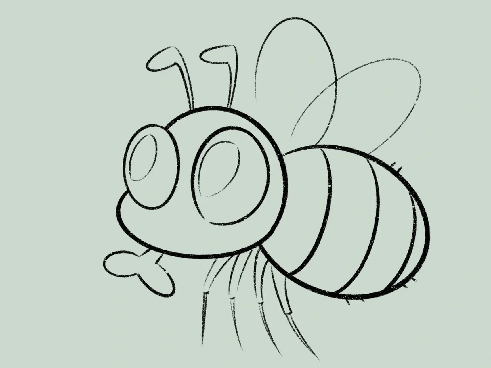 今天我要和你们分享如何用简单的步骤画出一只可爱的苍蝇!