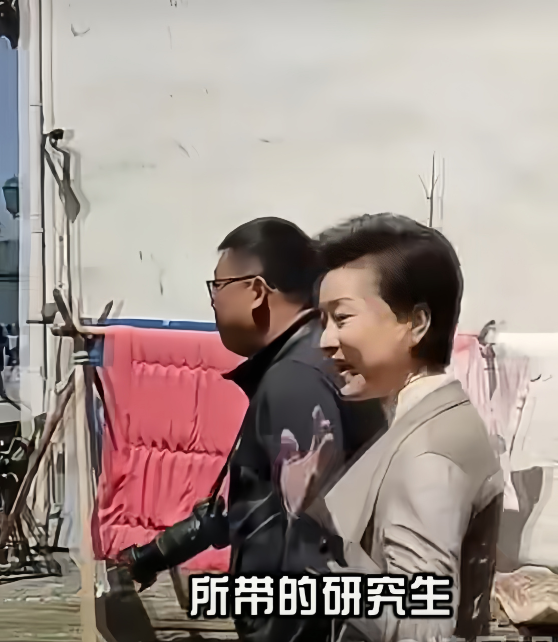 离婚29年后,再看杨澜和张一兵如今境况,他们离婚后,如今的杨澜爱情