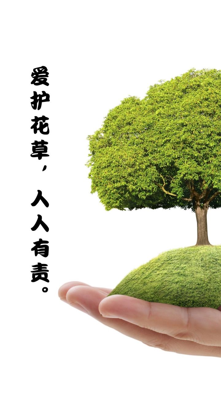 爱护花草树木的宣传标语  94爱护花草,人人有责94  99守护绿色