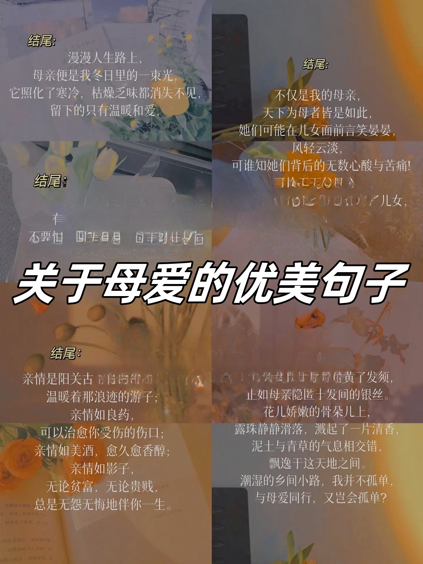 关于母爱的优美句子