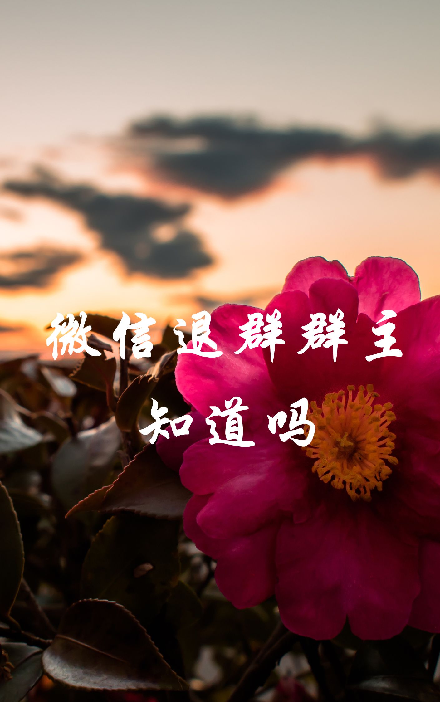 微信退群群主知道吗
