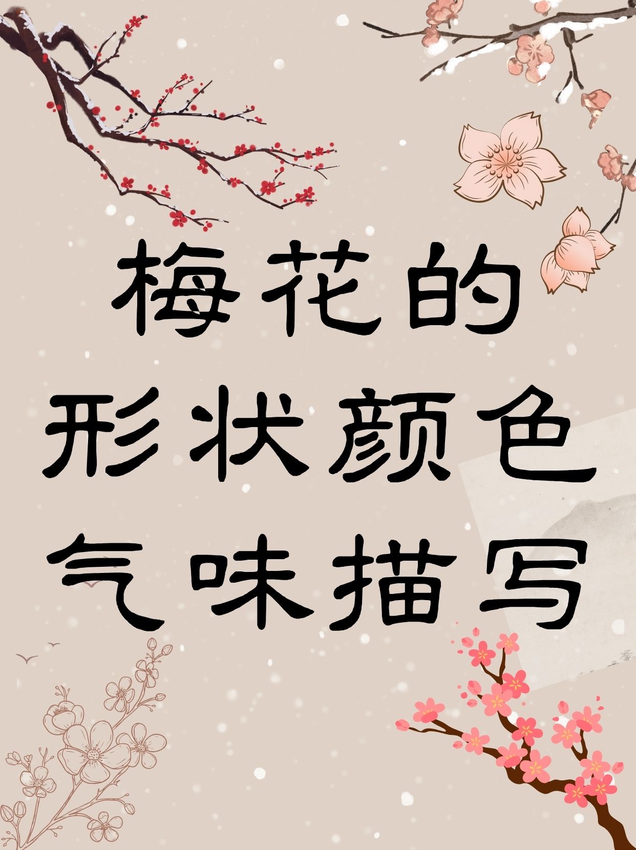 梅花的形状,颜色,气味描写