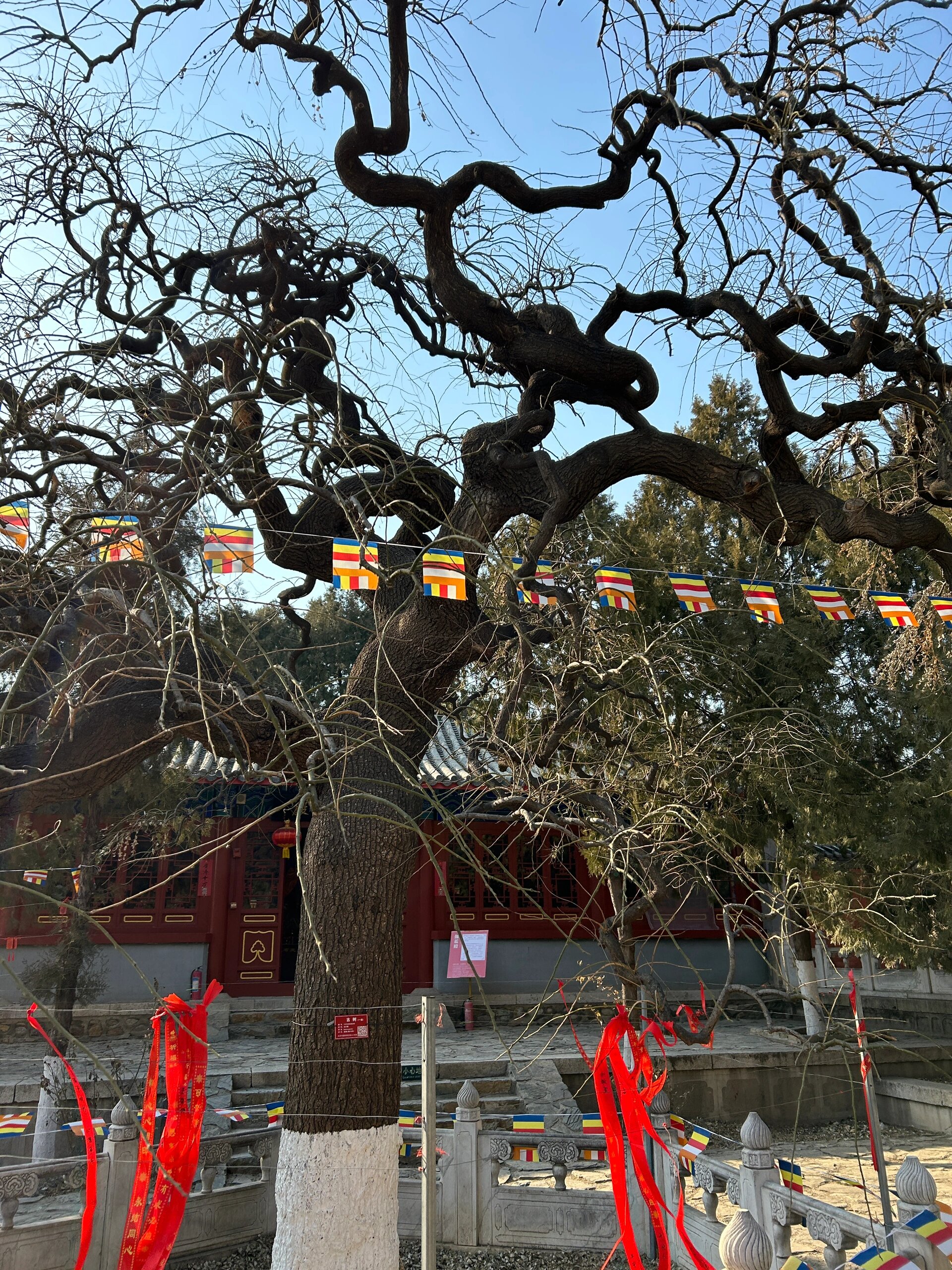 密云京北法兴寺  这座寺庙位于密云区西田各庄镇卸甲山村,历史可以