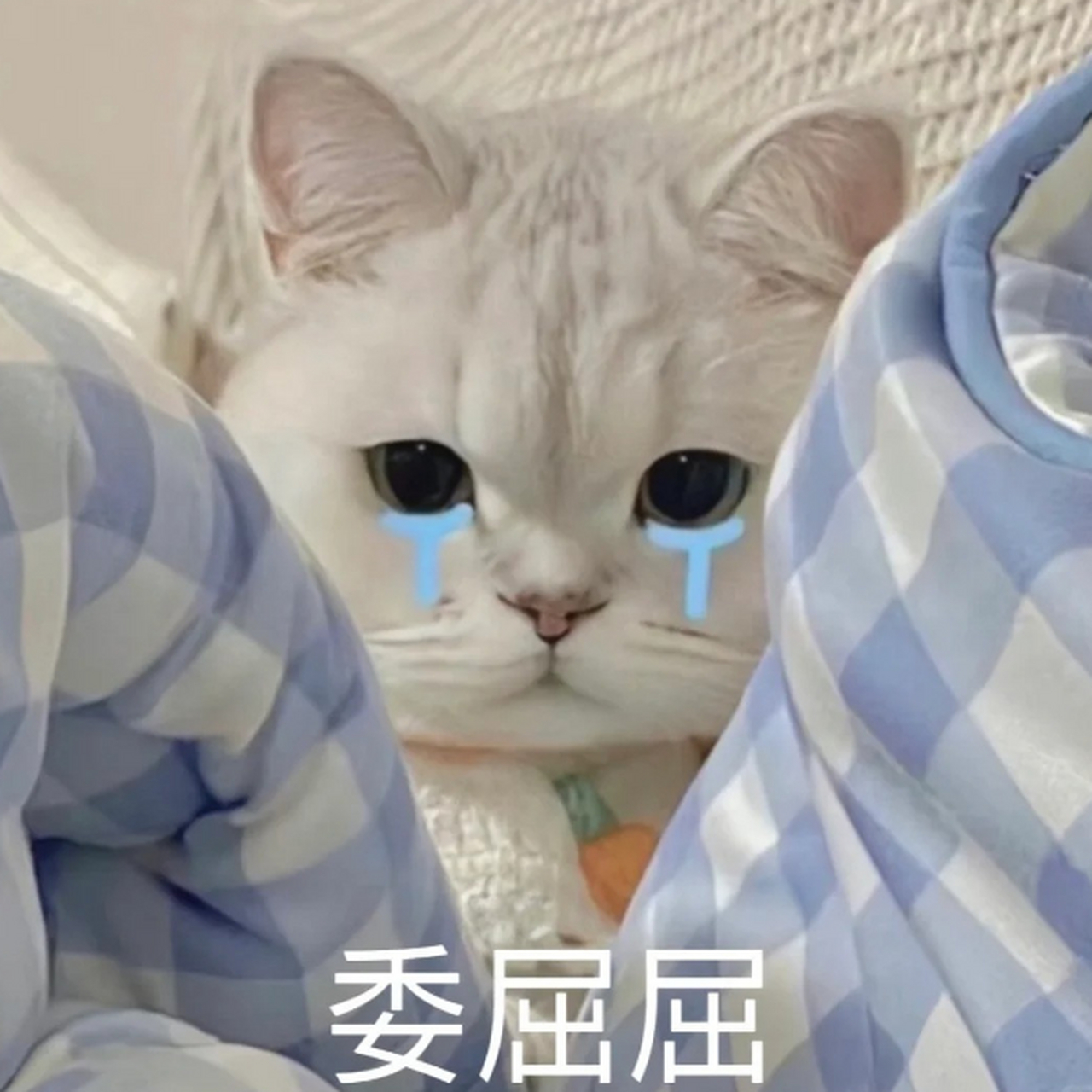 委屈表情包 最近被男朋友惹生气了,整天都很委屈😭,所以我搜集了