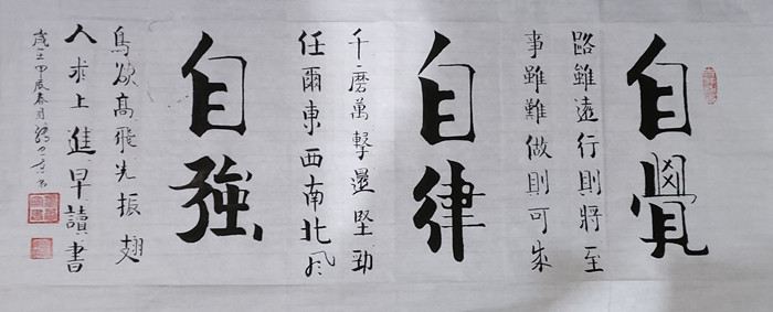 张卫东(书法)-书画家协会会员,作品赏析