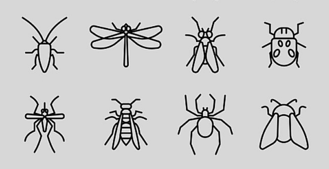 九成人不知道蚊子最大天敌是啥1个土法子整夜开窗也不怕