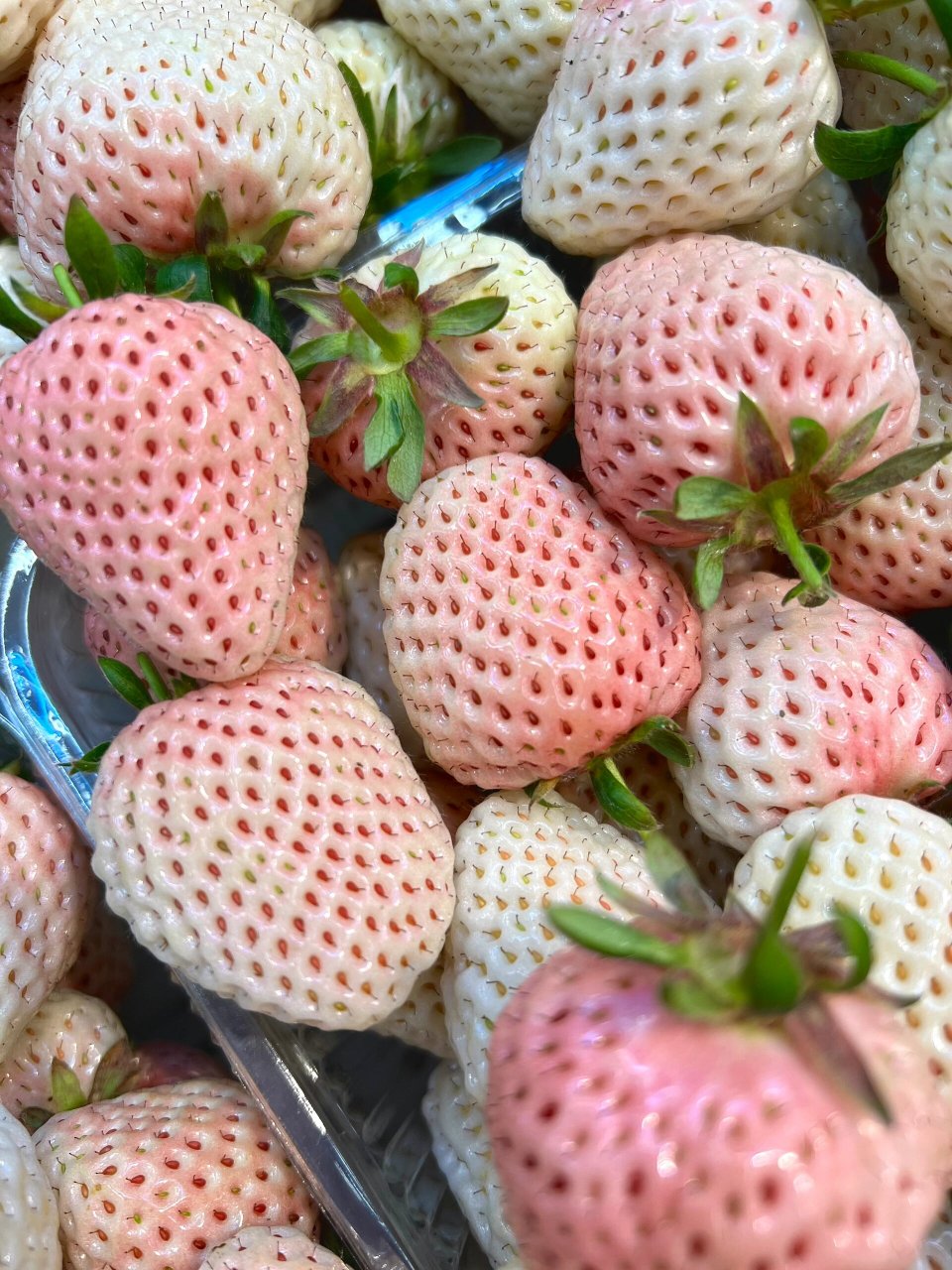 91各种新鲜草莓91集合啦91 94香蕉草莓 7815香野草莓