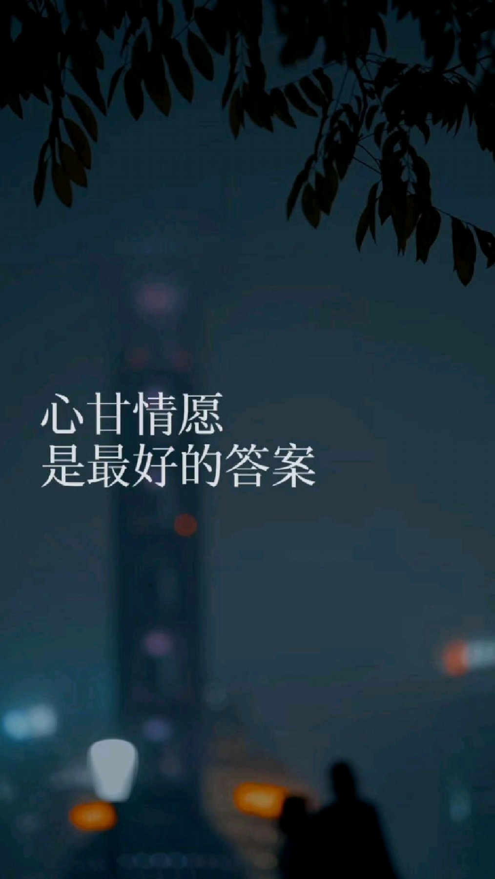 心甘情愿是最好的答案. #情感文案 #情感语录