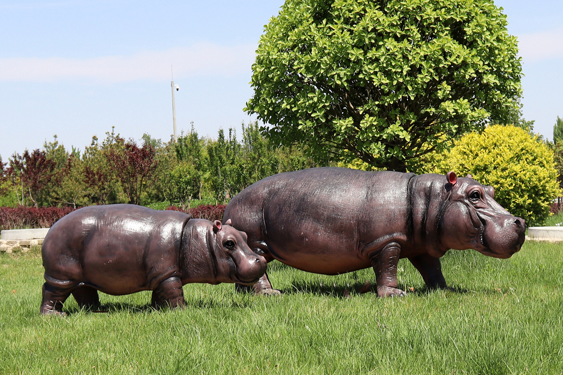 不仅美化环境,还传递人与自然和谐共生的理念.[原文:玻璃钢河马雕塑