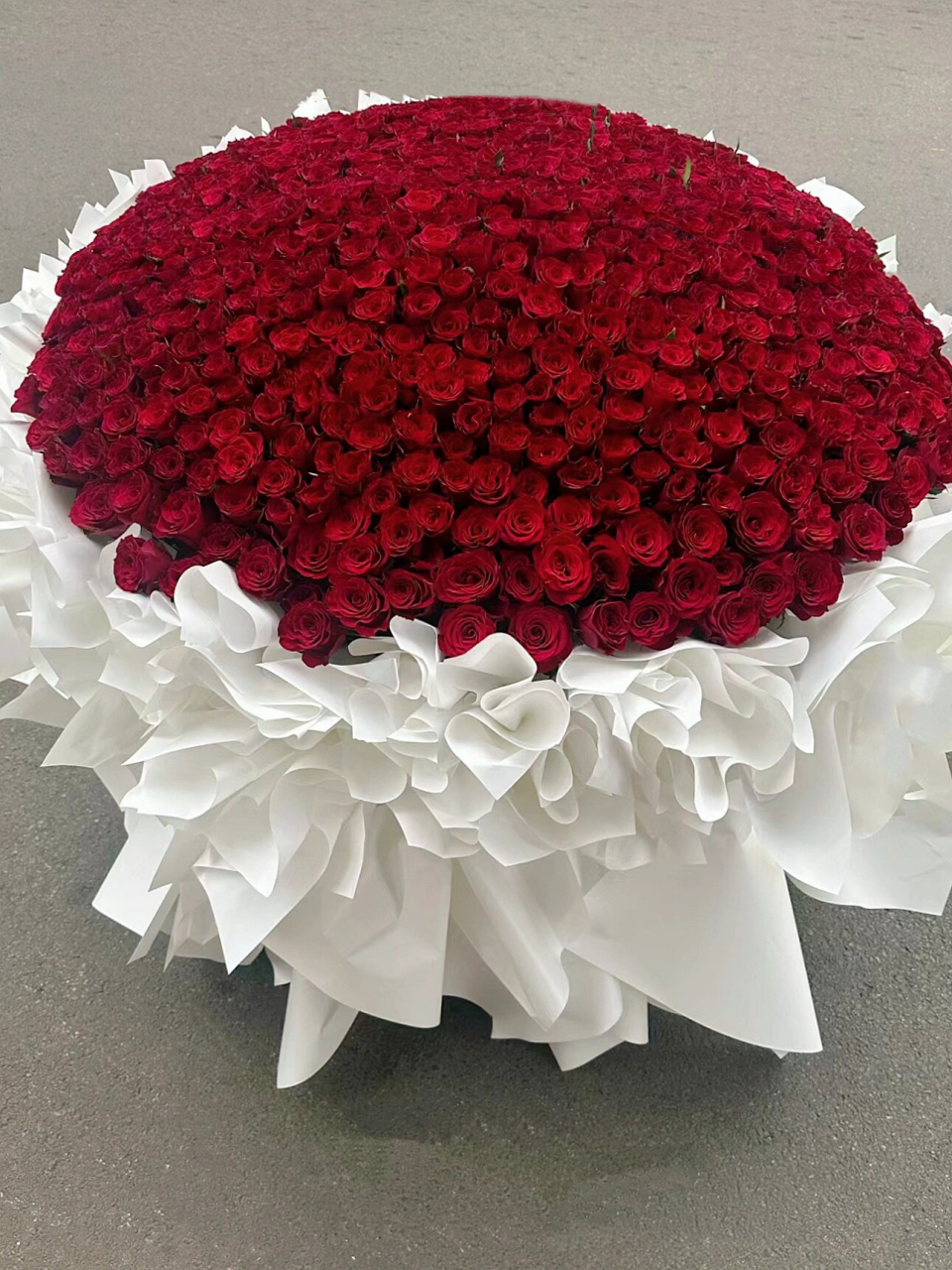 👀快看这惊艳的 999 朵玫瑰花图片!