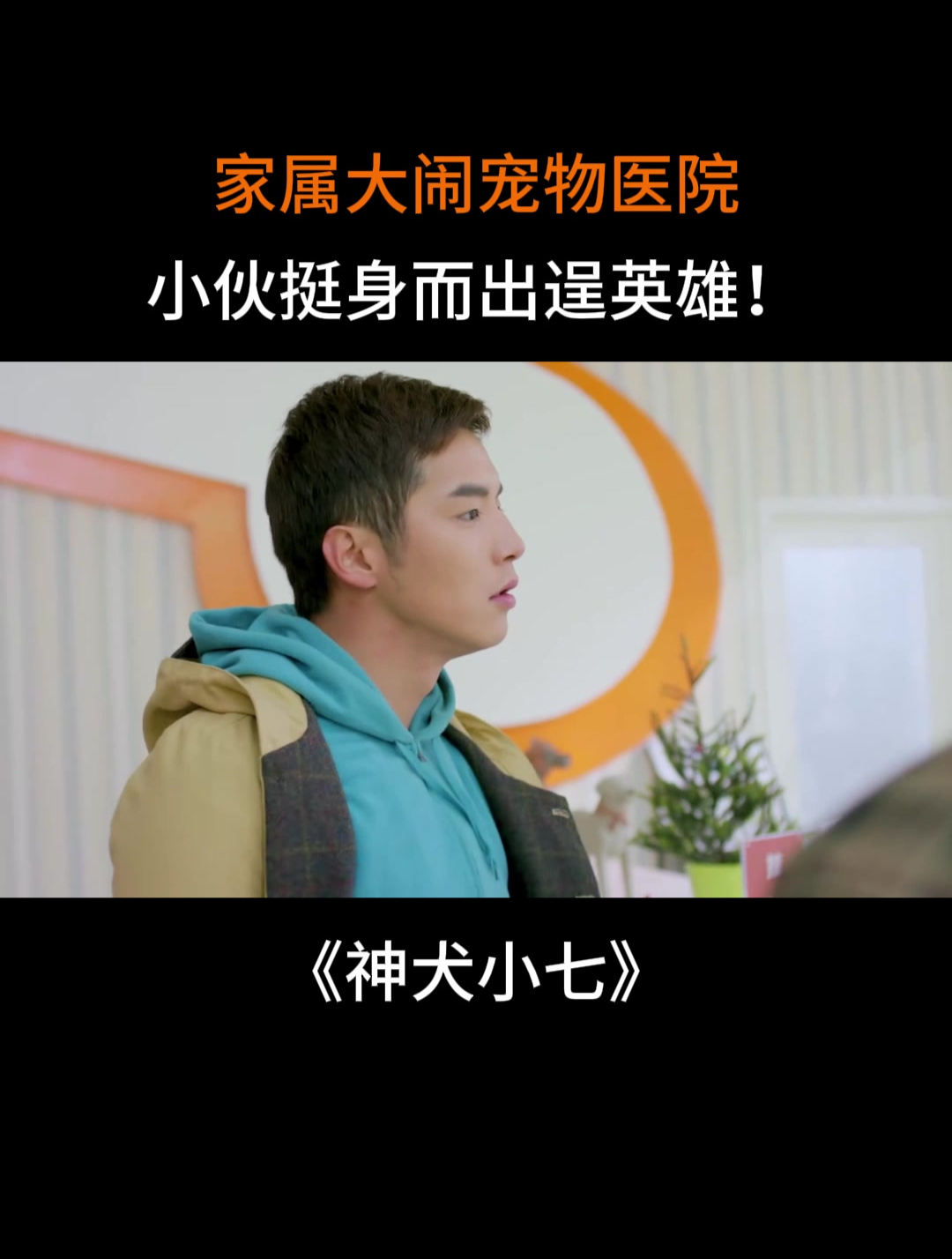 神犬小七家属大闹宠物医院小伙挺身而出逞英雄