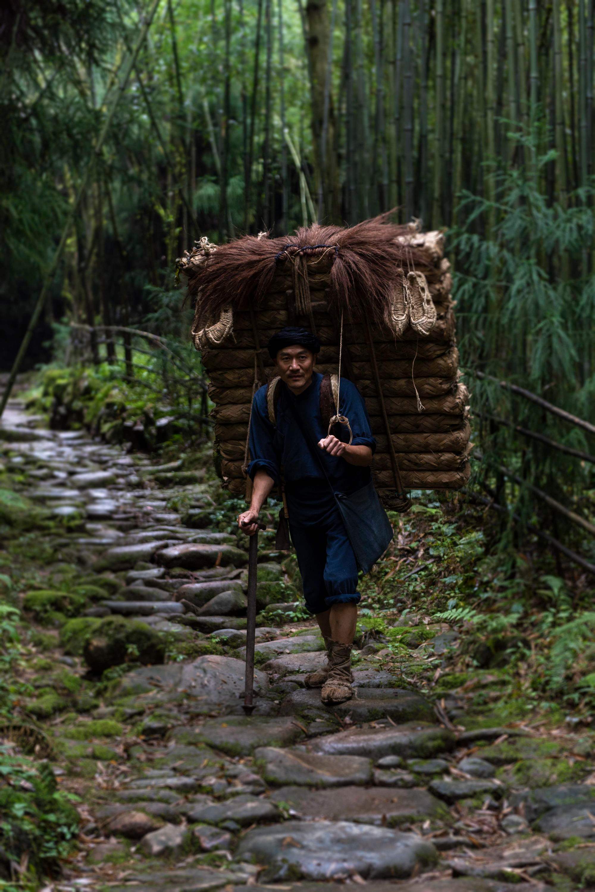 《背茶人生:雅安背二哥的岁月之旅》