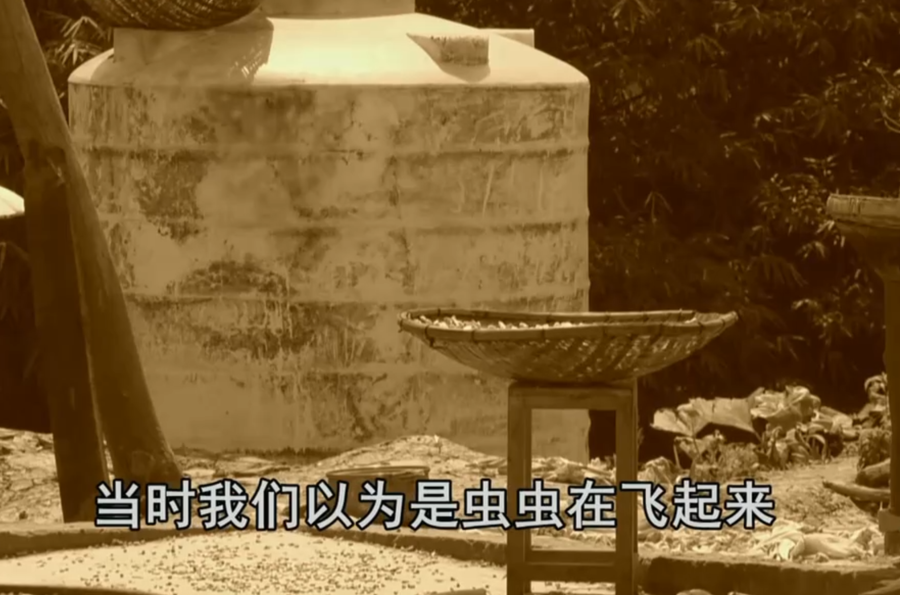 19年四川一村子鱼塘莫名变黑警方锁定山中小院调查发现不简单