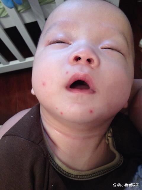 床上"螨虫已成堆"了?使用这一招,屋中"摆个它",螨虫消失了