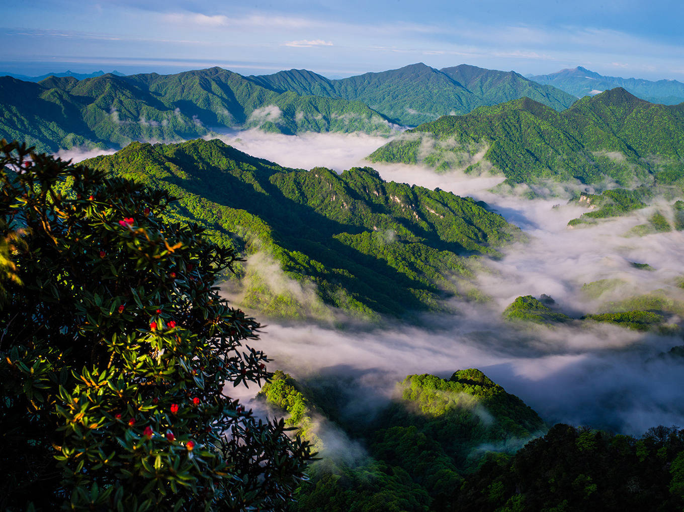 四川峨眉山自由行旅游攻略,建议先收藏,以备不时之需!