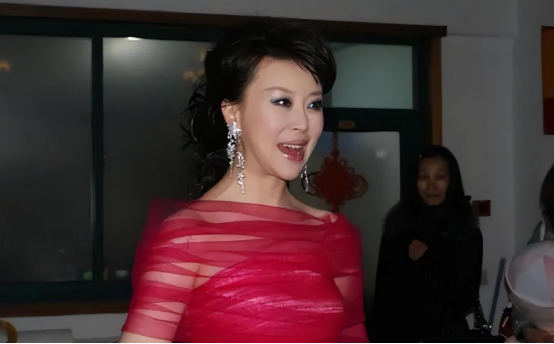 回顾祖海9登春晚恋上大37岁上司今47岁依旧单身