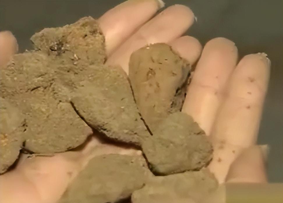 2013年厦门八旬老汉住院生命垂危儿子用泥土块轻松救回