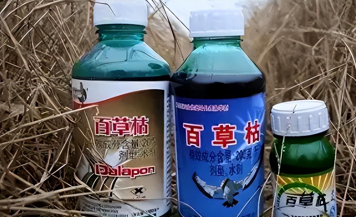 回顾百草枯之父李德军百草枯售卖多少年我就愧疚多少年