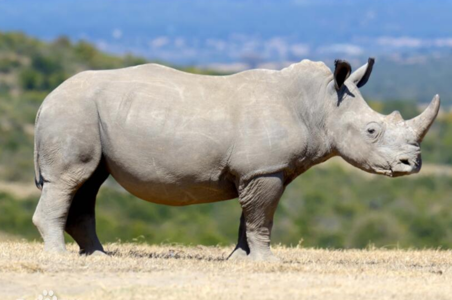 2021年女子网购一块首饰警方调查后直接将其抓捕判刑10年