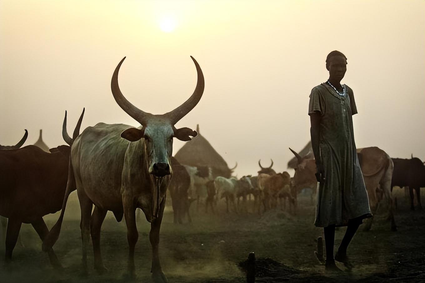 回顾努尔族有牛就能娶妻为了繁衍女性也可以娶妻