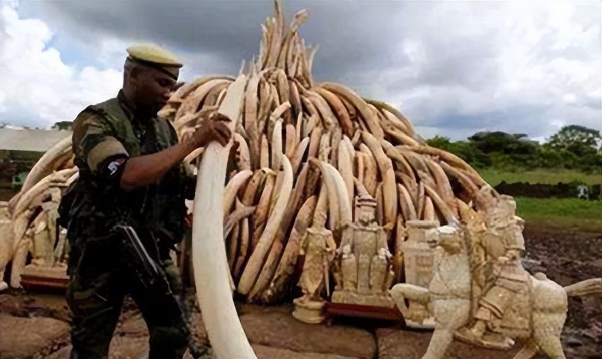 2019年中国一大妈在非洲被判15年行为引发众怒耿爽绝不袒护