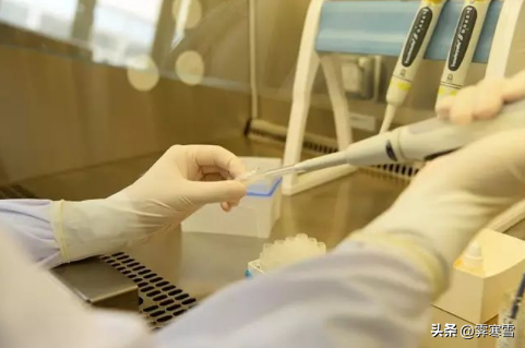在精子库工作的女护士为啥大多数是单身原来是职业性质导致