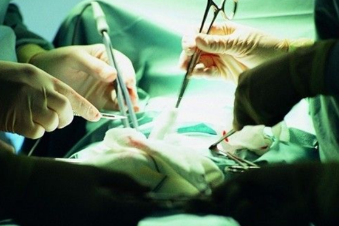 2021年黑龙江夫妻借22万做试管生下双胞胎一年后噩梦发生了